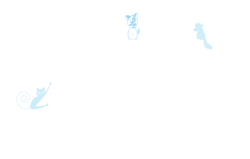Magistrales Veterinarios Fórmula Magistral Animal Veterinaria Colombia