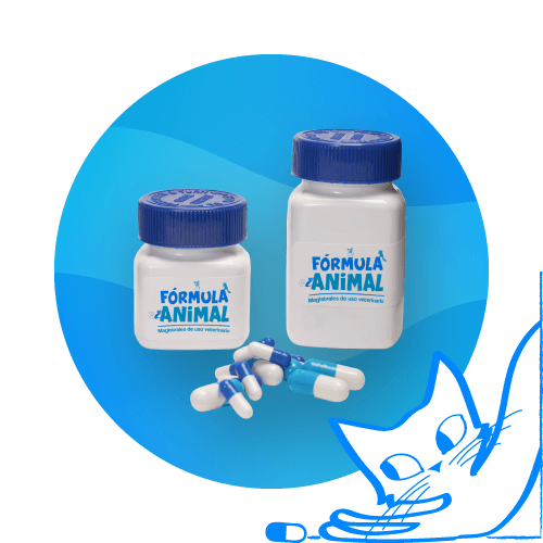Capsulas duras para medicamentos mascotas medicina 2 - Inicio