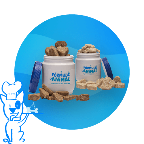 GALLETAS mascotas croquetas veterinarias 3 - Inicio